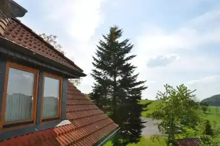 Rhön Sonnenhof - Restaurant & Café - 50