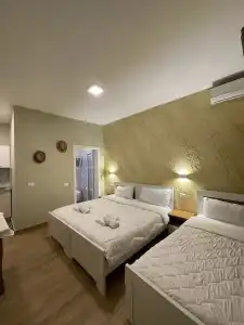 Arial Penthouse Suites - 127