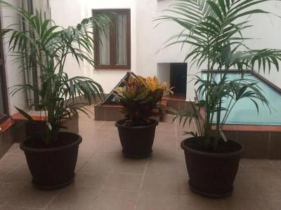 Castilla Guerrero - 29