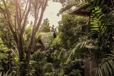Four Seasons Resort Chiang Mai - 50