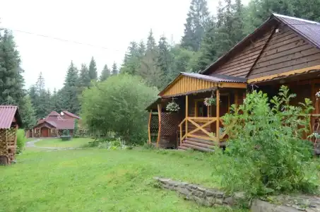 Zarinok - 40