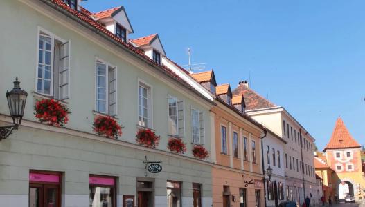 Wellness Pension Ametyst - 18