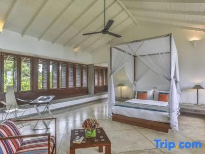 The Frangipani Tree by Edwards Collection - 40