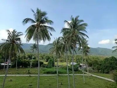 Amarin Samui - 143