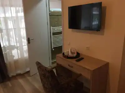 公寓 საოჯახო სასტუმრო “Borjomi Guest house“ - 31