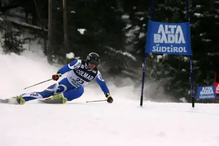 Ai Pini - 23