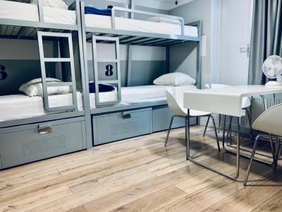 The White Tulip Hostel - 4