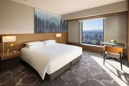 Hyatt Regency Tokyo - 38