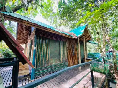 Khao Sok Tree House - 66