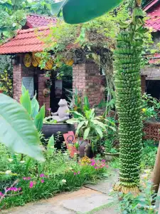 Hue Lotus Homestay - 37
