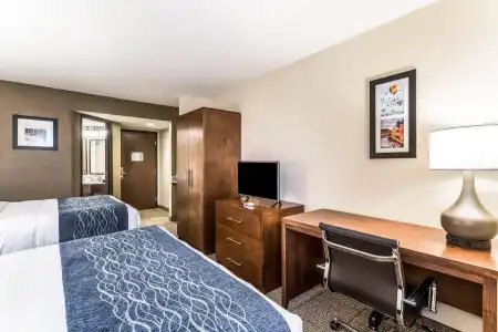 Comfort Inn & Suites Albuquerque Downtown - 6