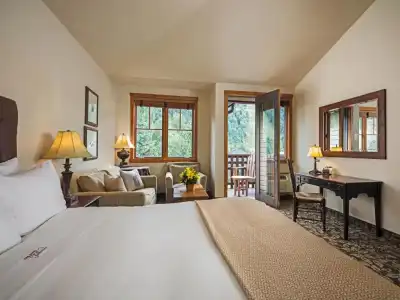 The Telluride - 71