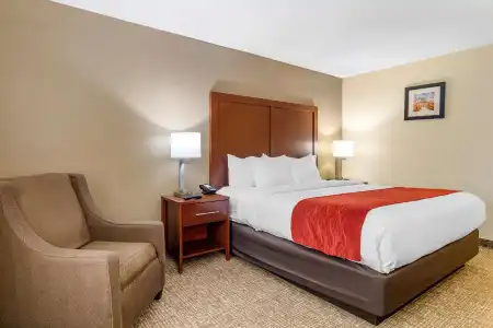 Comfort Inn & Suites Macon North I-75 - 31