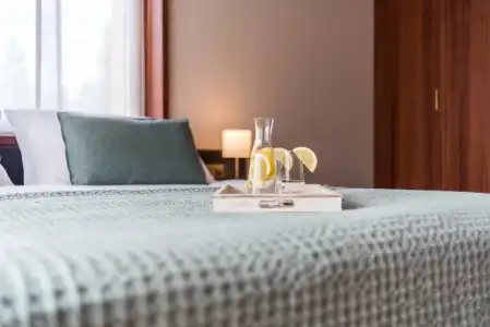 Luxury Villa – Deltapark - 1