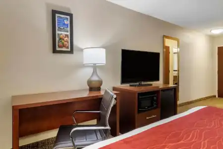 Comfort Inn & Suites Macon North I-75 - 30