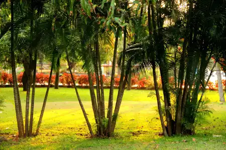VGP Golden Beach Resort - 17