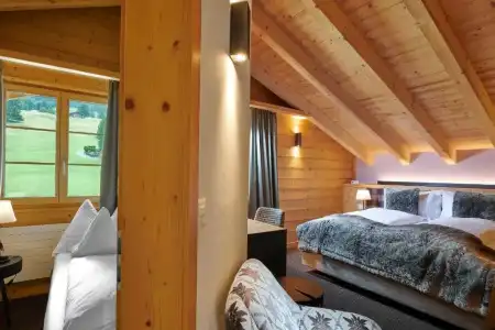 Aspen alpin lifestyle Grindelwald - 60