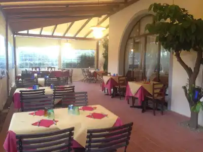 Airone Pisa Ristorante - 15