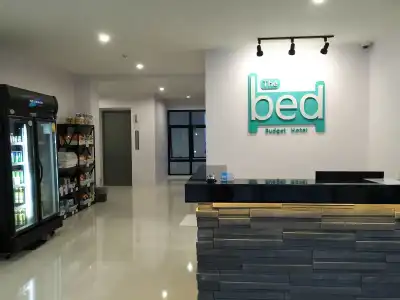The Bed - 0