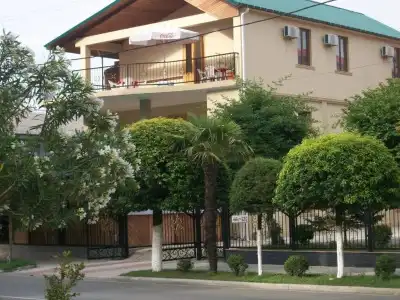 Magnolia Agmashenebeli - 20