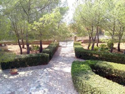 Agriturismo Terra dei Limoni - 177