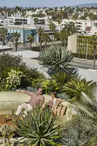 Santa Monica Proper, a Member of Designs - 11