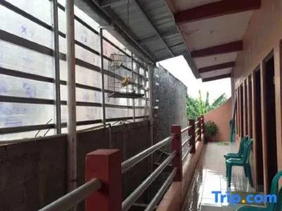 Canary Guesthouse - 5
