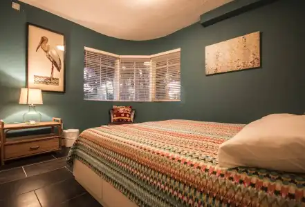 Beds n' Drinks Hostel - 1