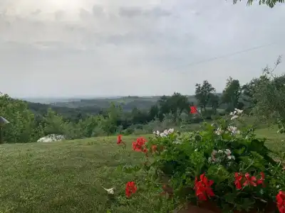 Tenuta Moriano - 29