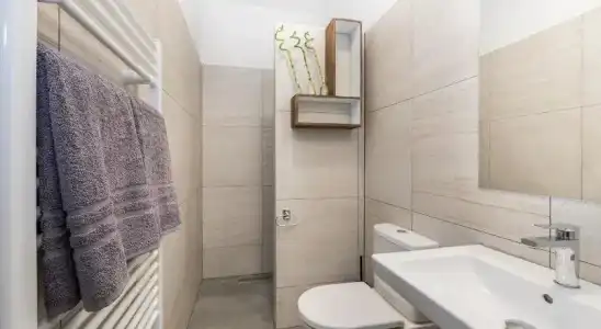 Barok and Apartments - 7