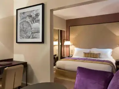 Sofitel Strasbourg Grande Ile - 77