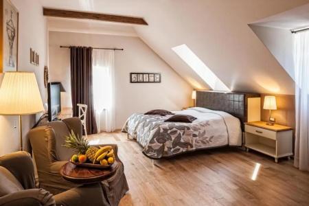 B&B Dvor Tacen - 24