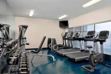 Four Points by Sheraton & Suites Calgary West - 12