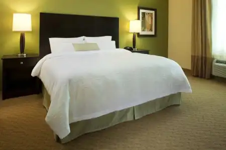 Hampton Inn & Suites Rochester/Henrietta - 12