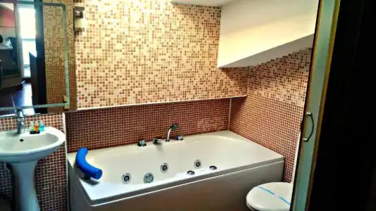 Vila Senjak - 50