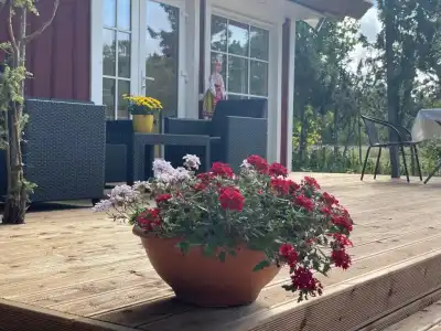 Käspri Farmstay - 6