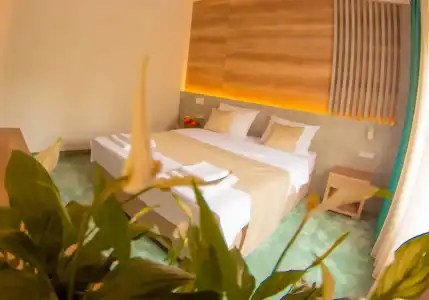 Nota - 29