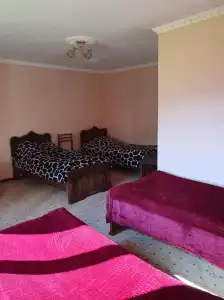 Valodia Guest House in Mestia - 25
