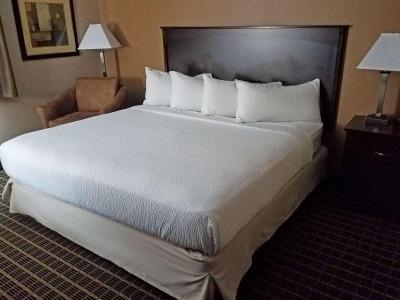 Americas Best Value Inn and Suites Bismarck - 2