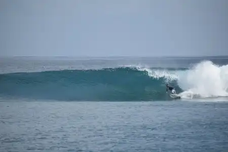 The Maverick Surf and Dive Boutique - 15