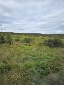 Lambalækur - 2