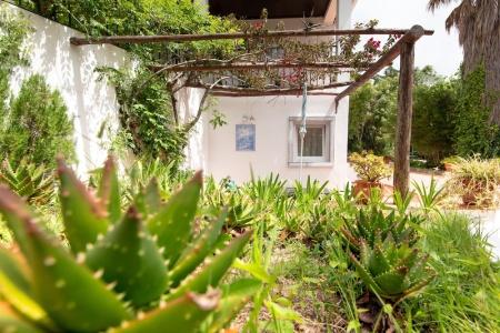 Quinta Verde Sintra - Casa de Campo - 14