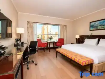 Eurobuilding Boutique Buenos Aires - 53