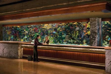 The Mirage & Casino - 37
