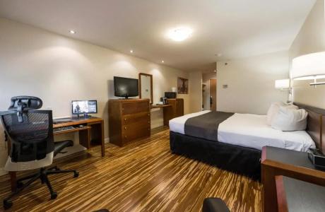 Hôtel & Suites le Dauphin Québec - 85