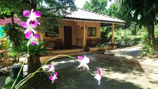 Macura Resort - 87
