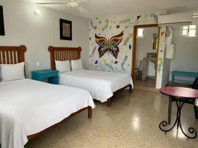 Blue Coconut Cancun - 4