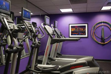 Pennyweight Boston, Curio Collection by Hilton - 18