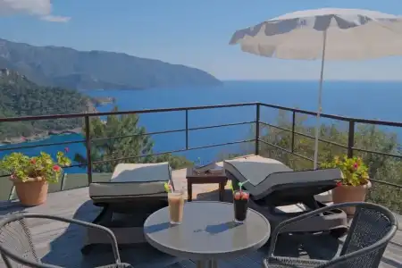 Kabak Avalon - 25