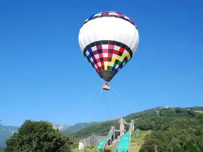 Phoenix Cocoon - 30
